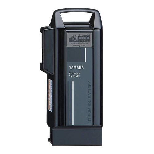 楽天市場】pas バッテリー 8.7の通販