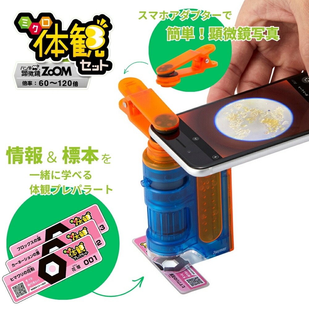 楽天市場】【2025 年間ベストショップ受賞】レイメイ藤井 ハンディ