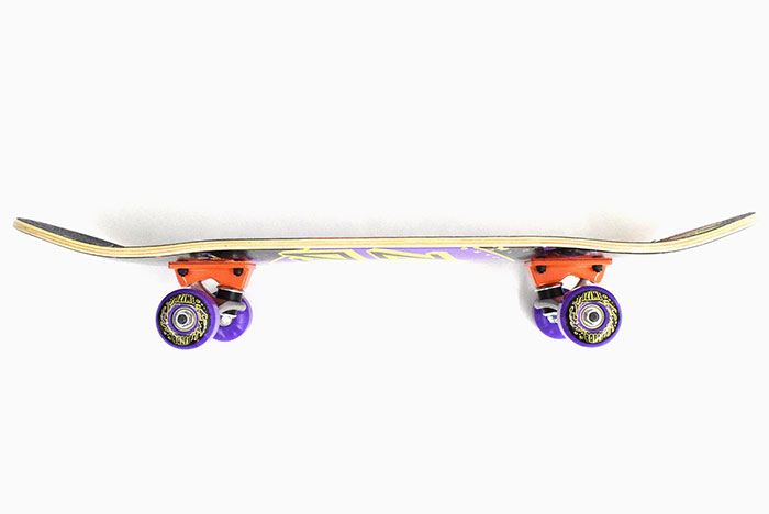 楽天市場】サンタクルーズ SANTA CRUZ スケボー スケートボード