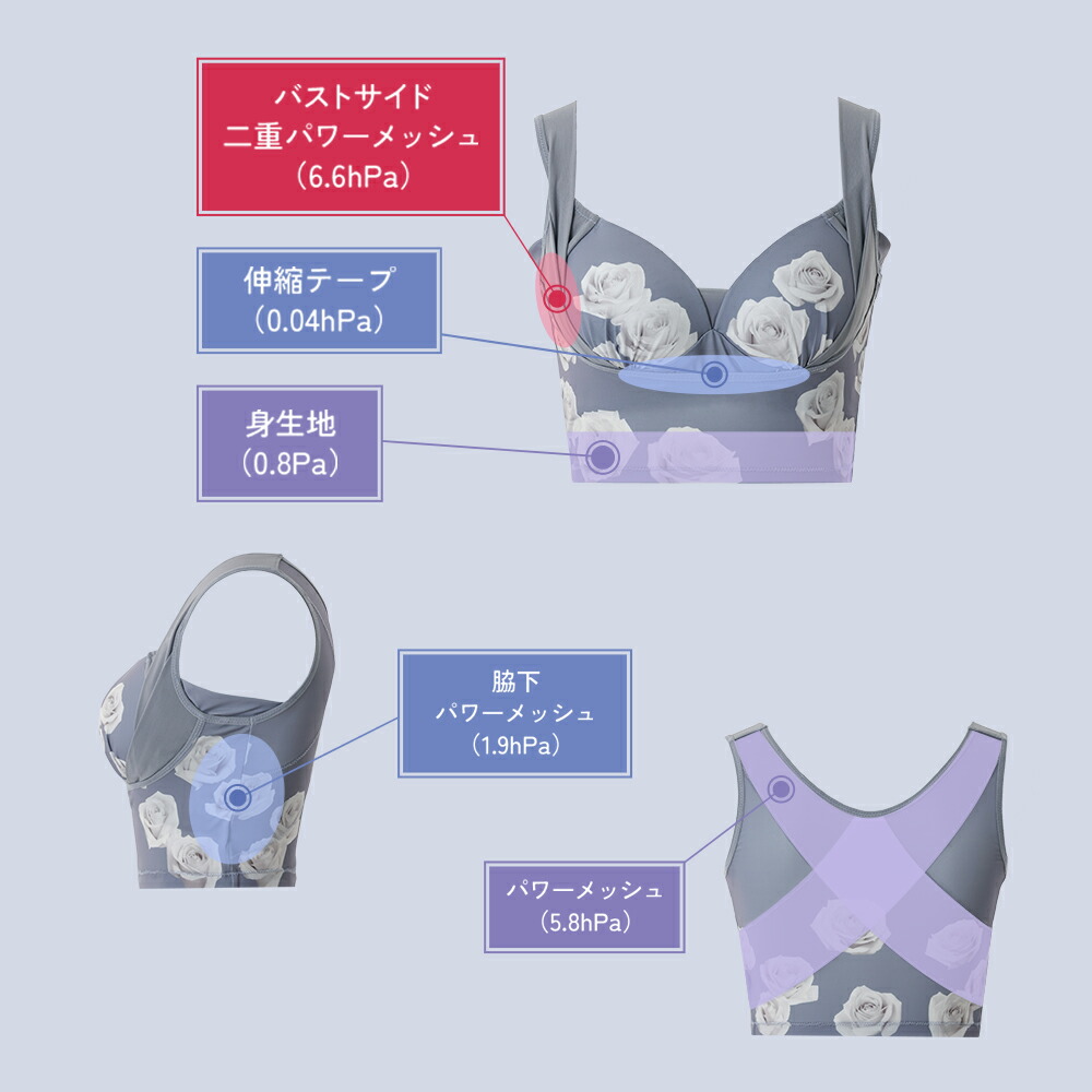 楽天市場】＼シリーズ累計200万枚突破／「CelleBra セレブラ」【5枚