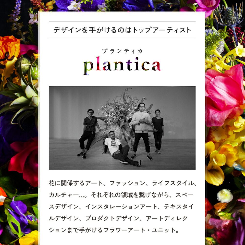 楽天市場】＼シリーズ累計200万枚突破／「CelleBra セレブラ」【5枚