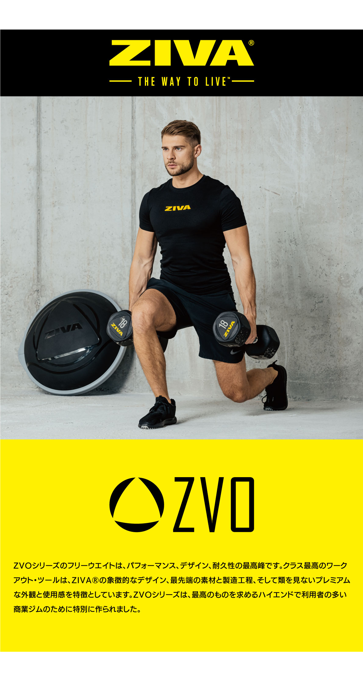 楽天市場】【業務用】ダンベル DUMBBELL 10個 5ペアセット 42kg 44kg