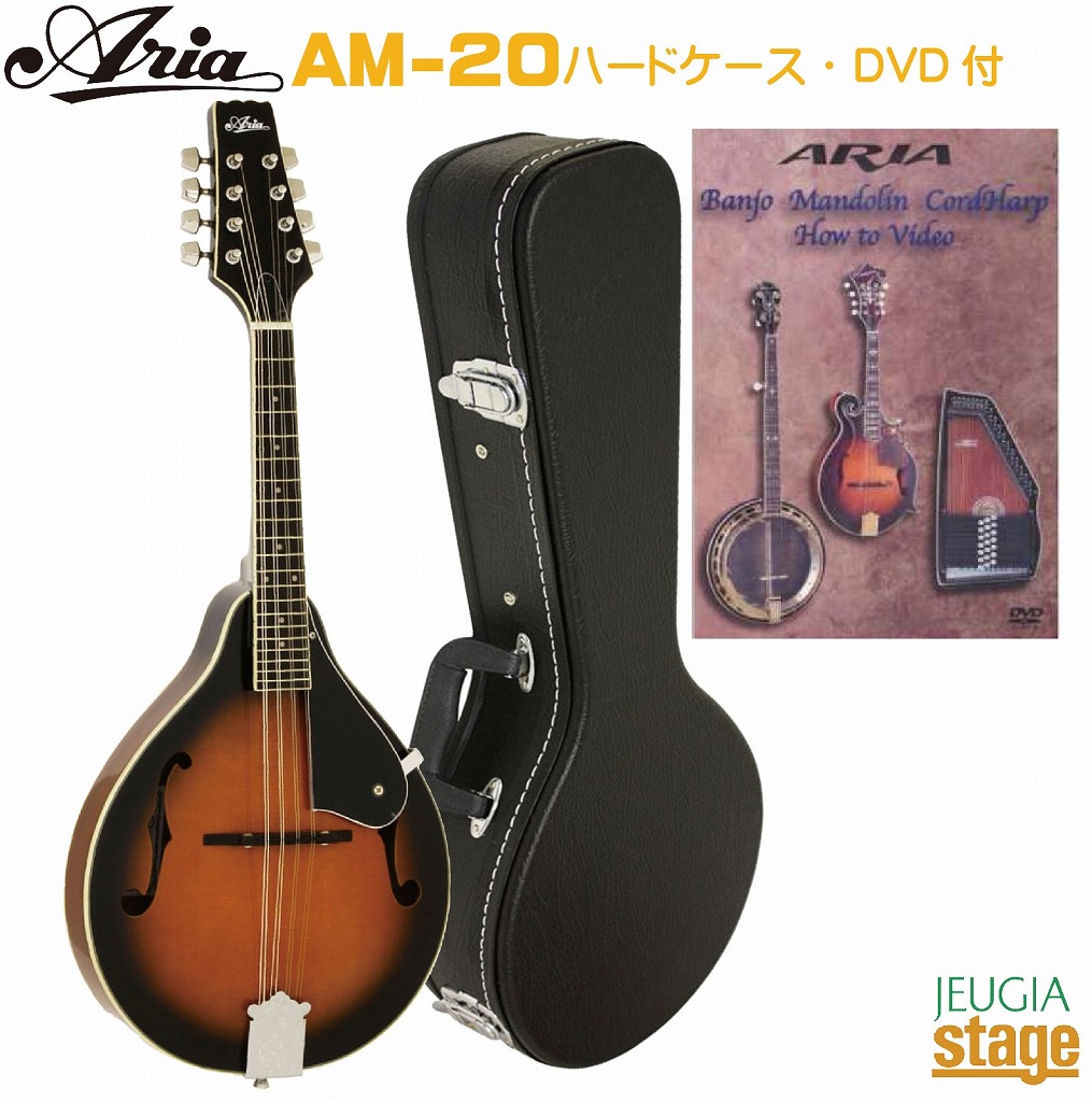 美品 Aria AM-200 フラットマンドリン バードケース付属品多数 アリア