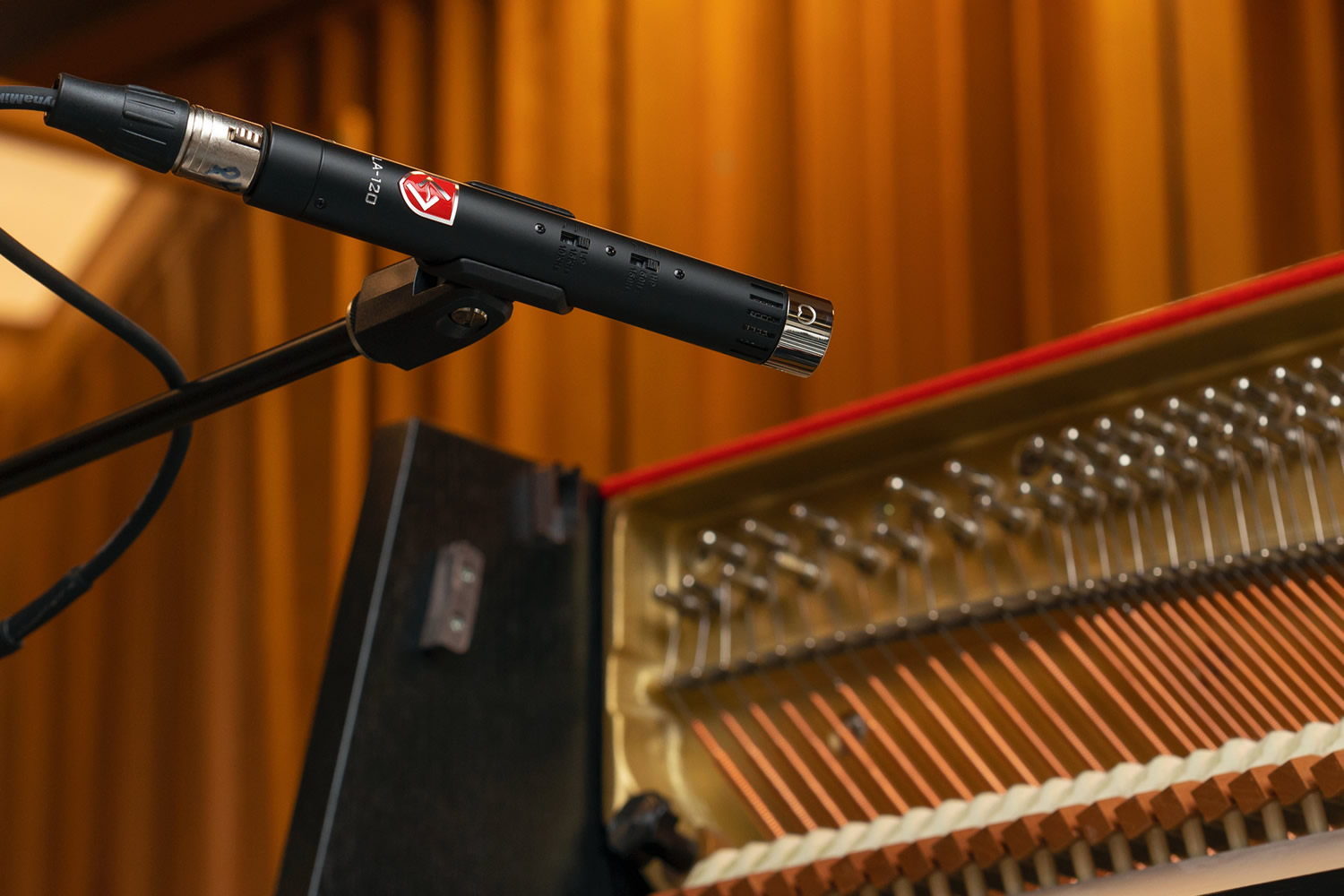 楽天市場 | キクタニミュージック 楽天市場店 - カリフォルニア発の