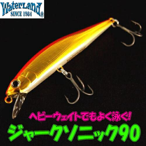 楽天市場】【2/25ポイント10倍】【メール便可】ウォーターランド