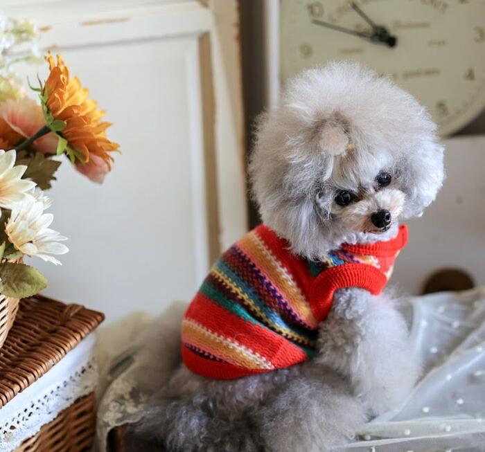 楽天市場】【 犬 服 秋服 ベスト】ヒュッゲニットベスト 鎌倉DOG