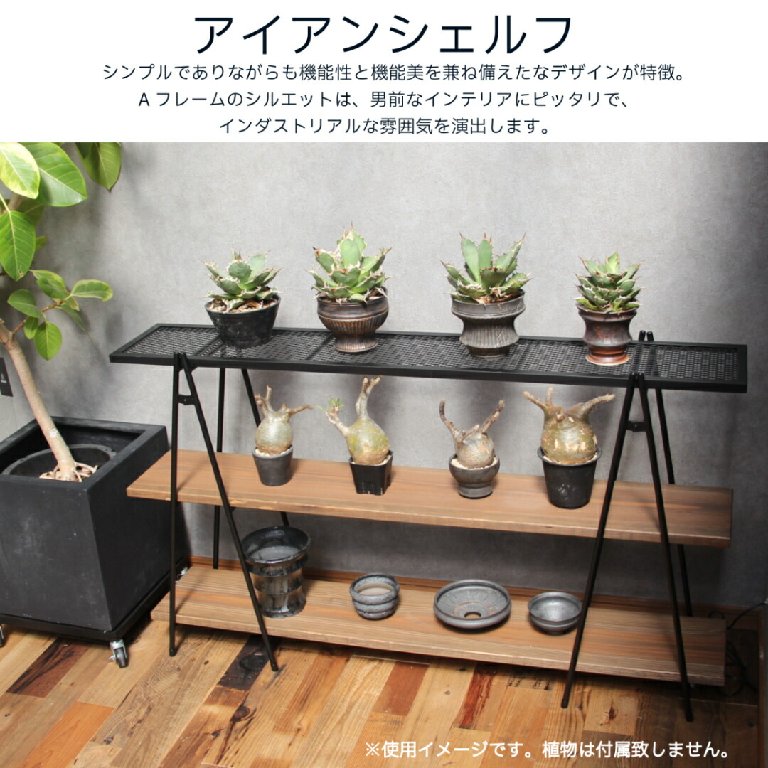 image_1745652185028.jpg?fitin=