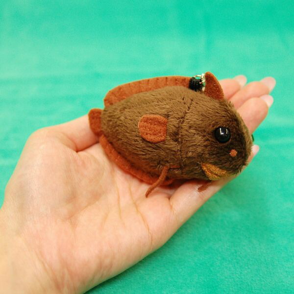 楽天市場】ドンコ携帯ストラップ サイズ:9cm ふわふわ もちもち