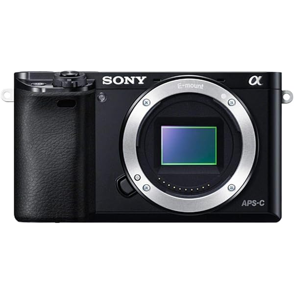 楽天市場】sony a5000の通販