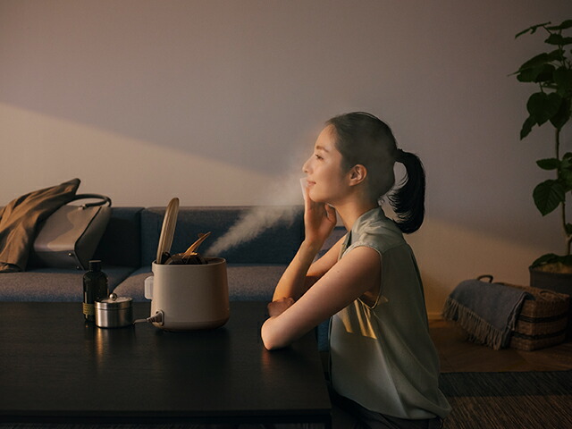 楽天市場】【公式店】パナソニック スチーマーナノケア グレージュ EH