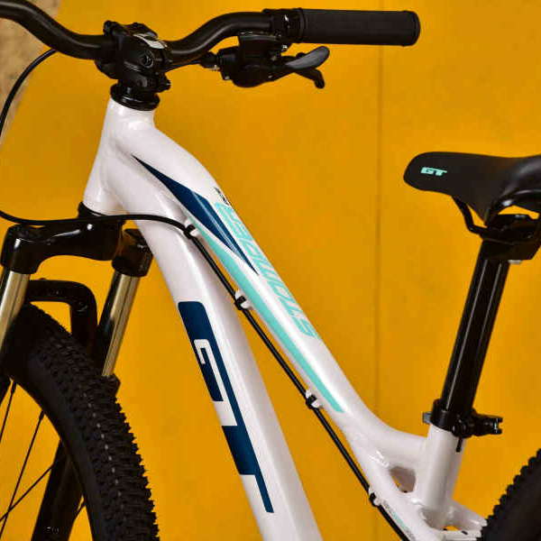 楽天市場】GT ジーティー 2024年モデル STOMPER ACE 24 V2 ストンパー