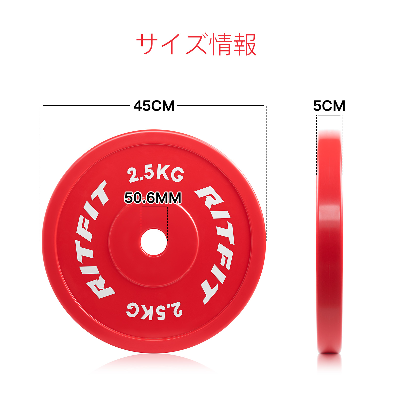 楽天市場】RITFIT PEテックニックプレート テクニカルプレート