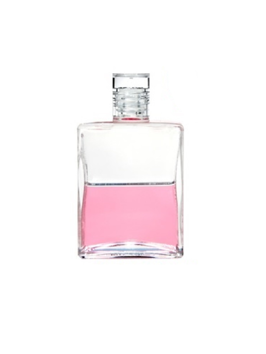 楽天市場】オーラソーマ ボトル 11番 花の鎖 / エッセネボトル I