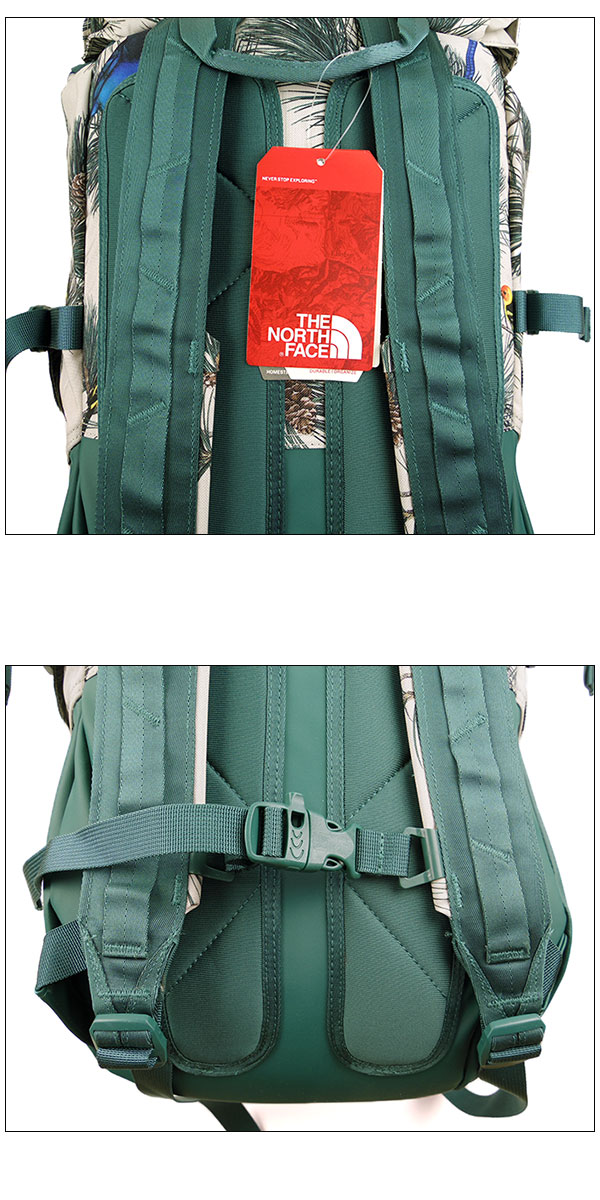 楽天市場】ノースフェイス リュック 30l レディース メンズ THE NORTH
