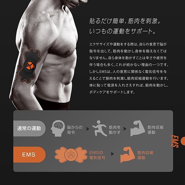 楽天市場】【本日7％OFF!】送料無料 !(メール便) EMSボディビルド