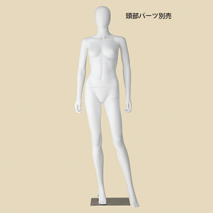 楽天市場】【5%OFFクーポン有り！2月25日限り】【業務用】PP製 婦人