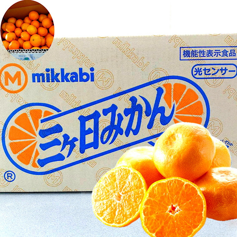楽天市場】三ケ日みかん 約4K箱 L以上 優品【光センサー選果】静岡県