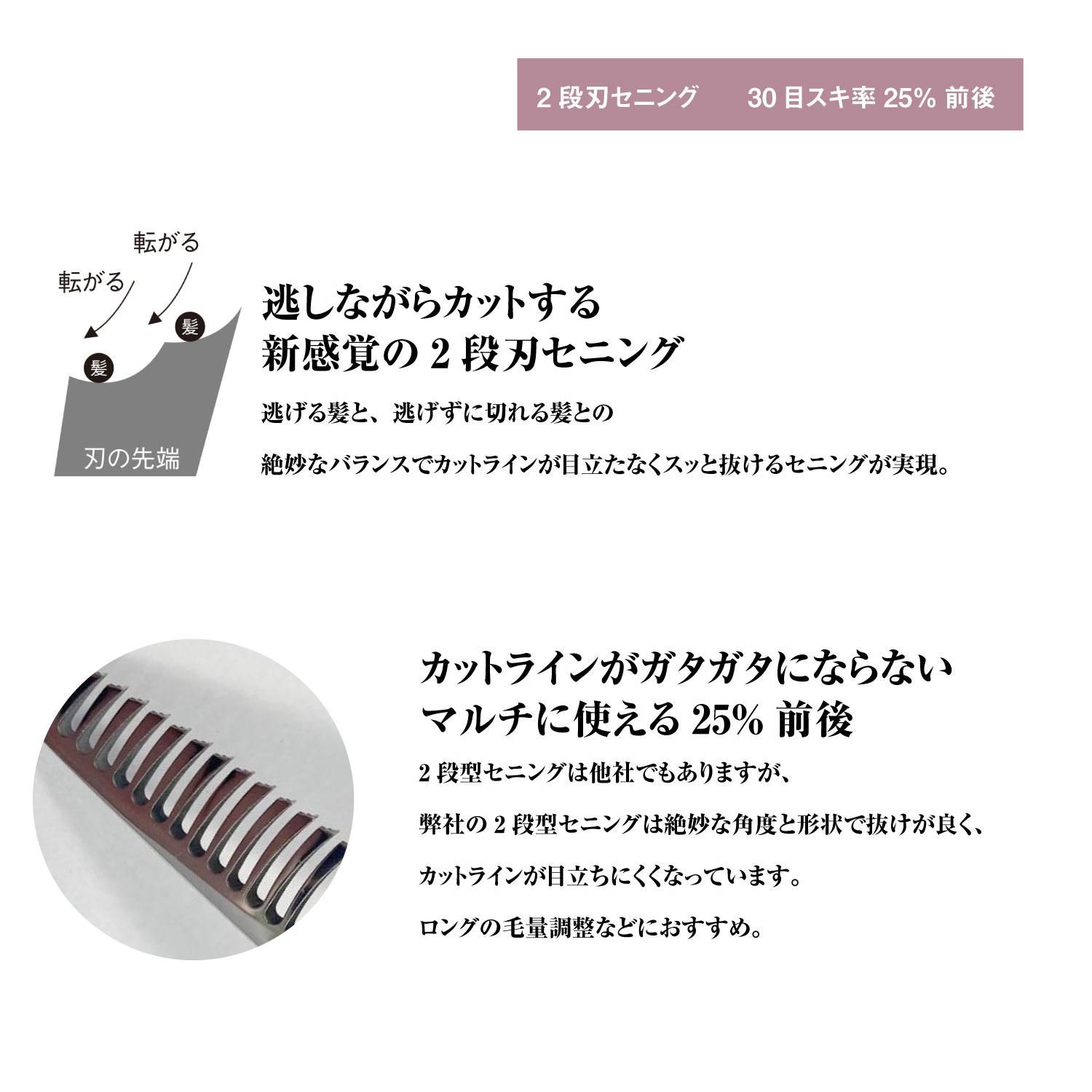 楽天市場】日本の鋏専門メーカー / 美容師専用 【PF】DEEDS GTZ シザー