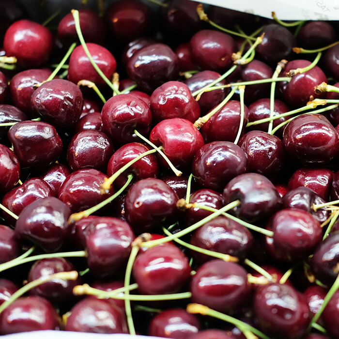 楽天市場】タスマニア産 チェリー 特大サイズ 9.5R （28mm以上） 約5kg