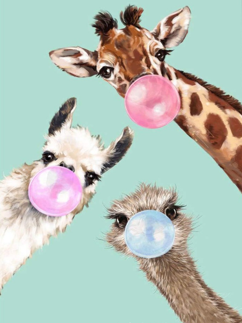 楽天市場】【22-28日！クーポン利用で15%OFF】送料無料 刺繍キット 5D