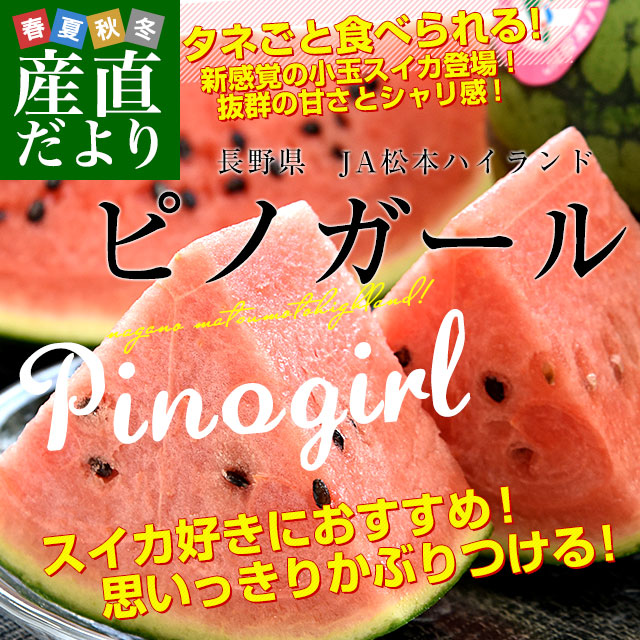 楽天市場】長野県産 JA松本ハイランド ピノガール (小玉スイカ) A品 3L