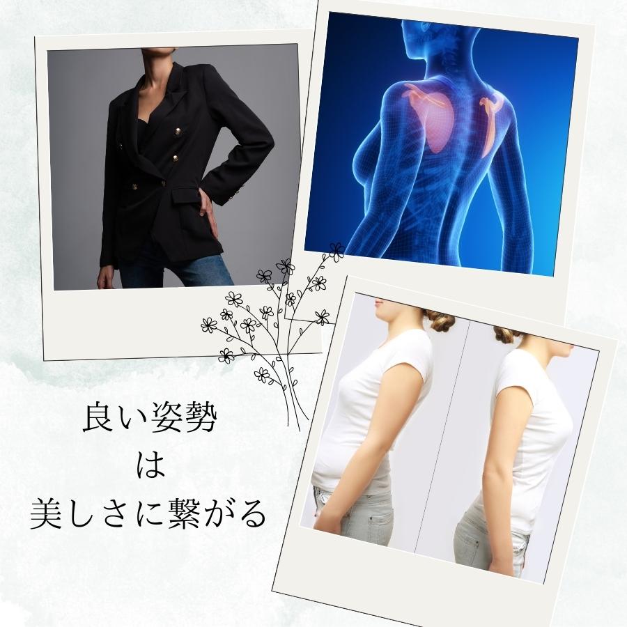 楽天市場】＼ ランキング 受賞 ／ ボディスーツ 補正下着 補整下着