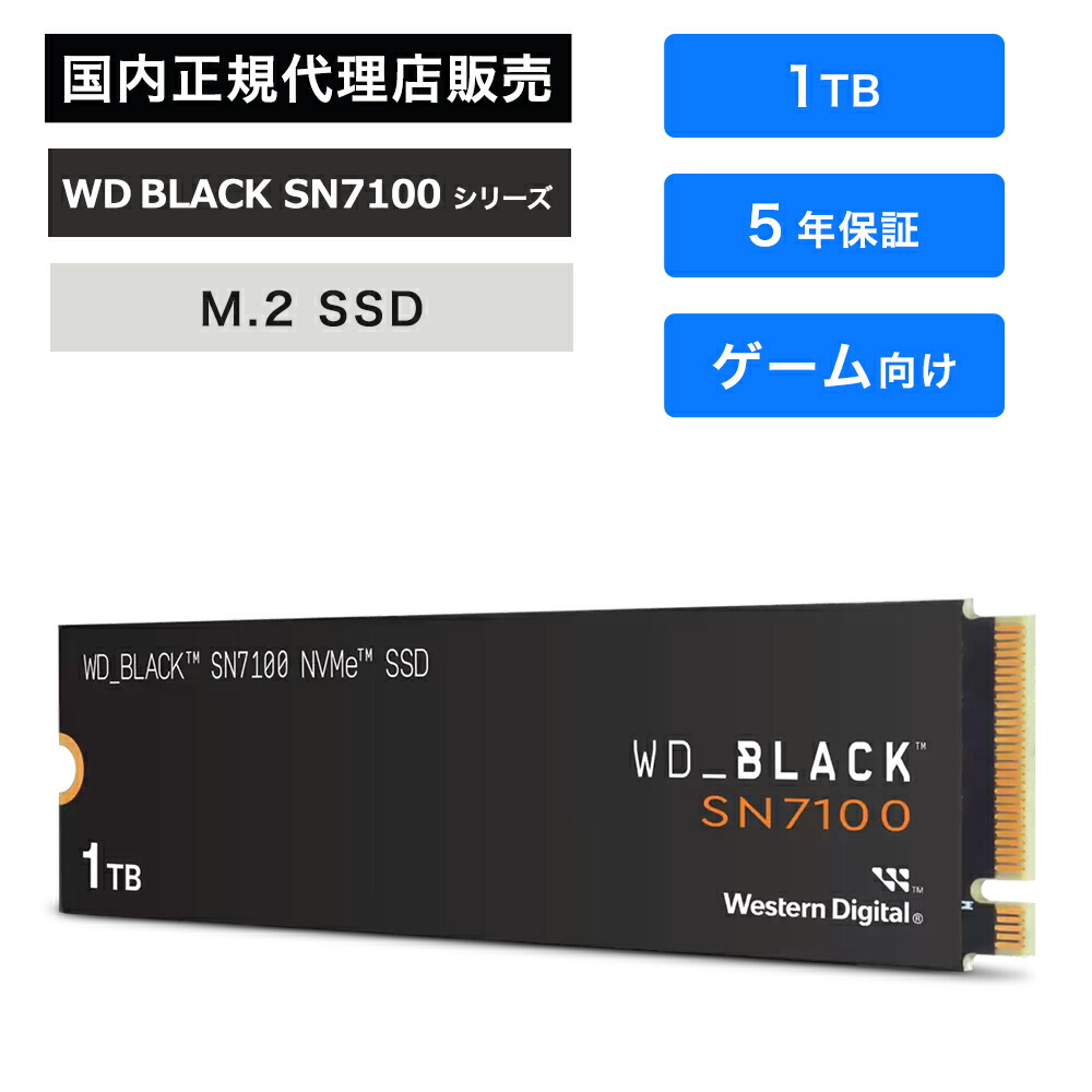 wds100t4x0e.jpg