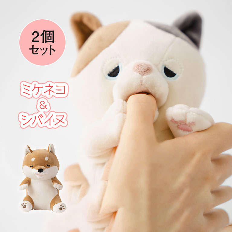 楽天市場】おしゃべりダッキー ダッキースター 当社オリジナル 在庫