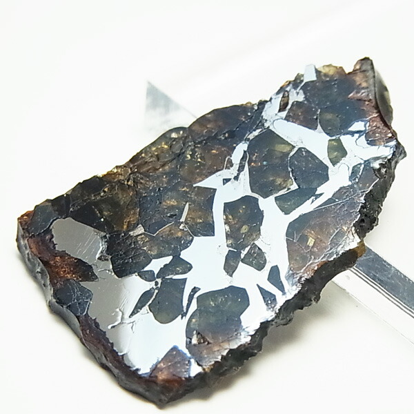 楽天市場】セイムチャン隕石 (SEYMCHAN) パラサイト 隕石【ロシア産