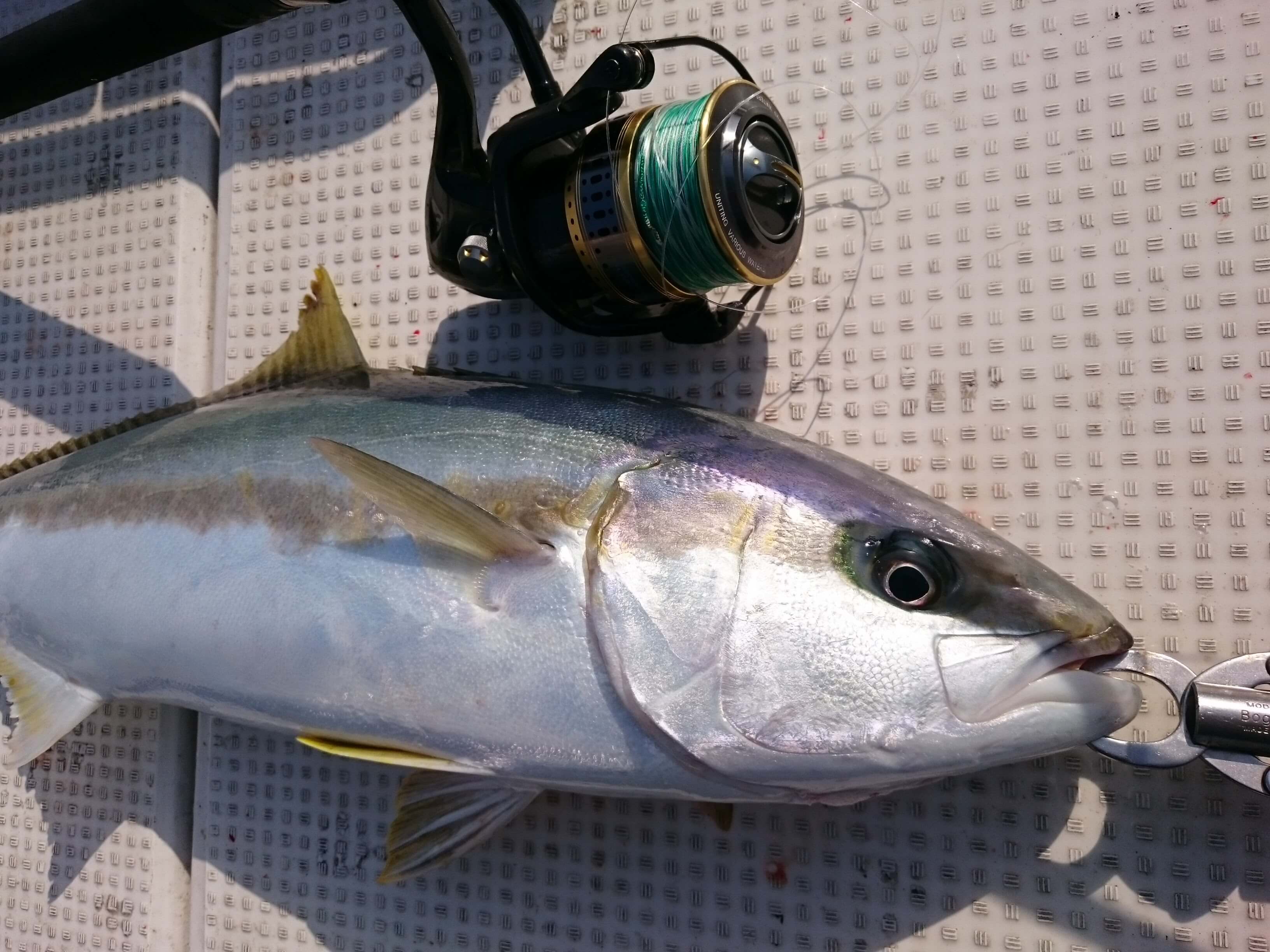 1万円代後半で高性能・高剛性のリール！クロシオ43PGはジギング入門に