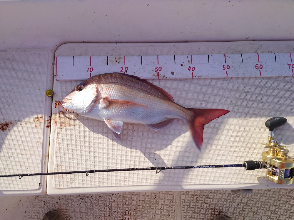 シマノ オシアコンクエスト300HGインプレ【スーパーライトジギング