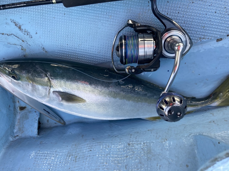 21 セルテート SW 8000-Hのスペックとインプレ | 釣りクラウド