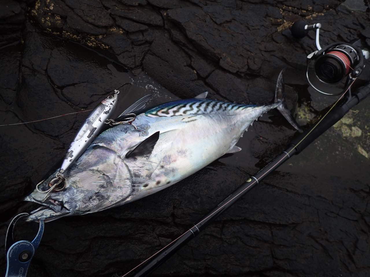 青物ロッドおすすめ】ヤマガブランクス ブルースナイパー 106H PS 徹底