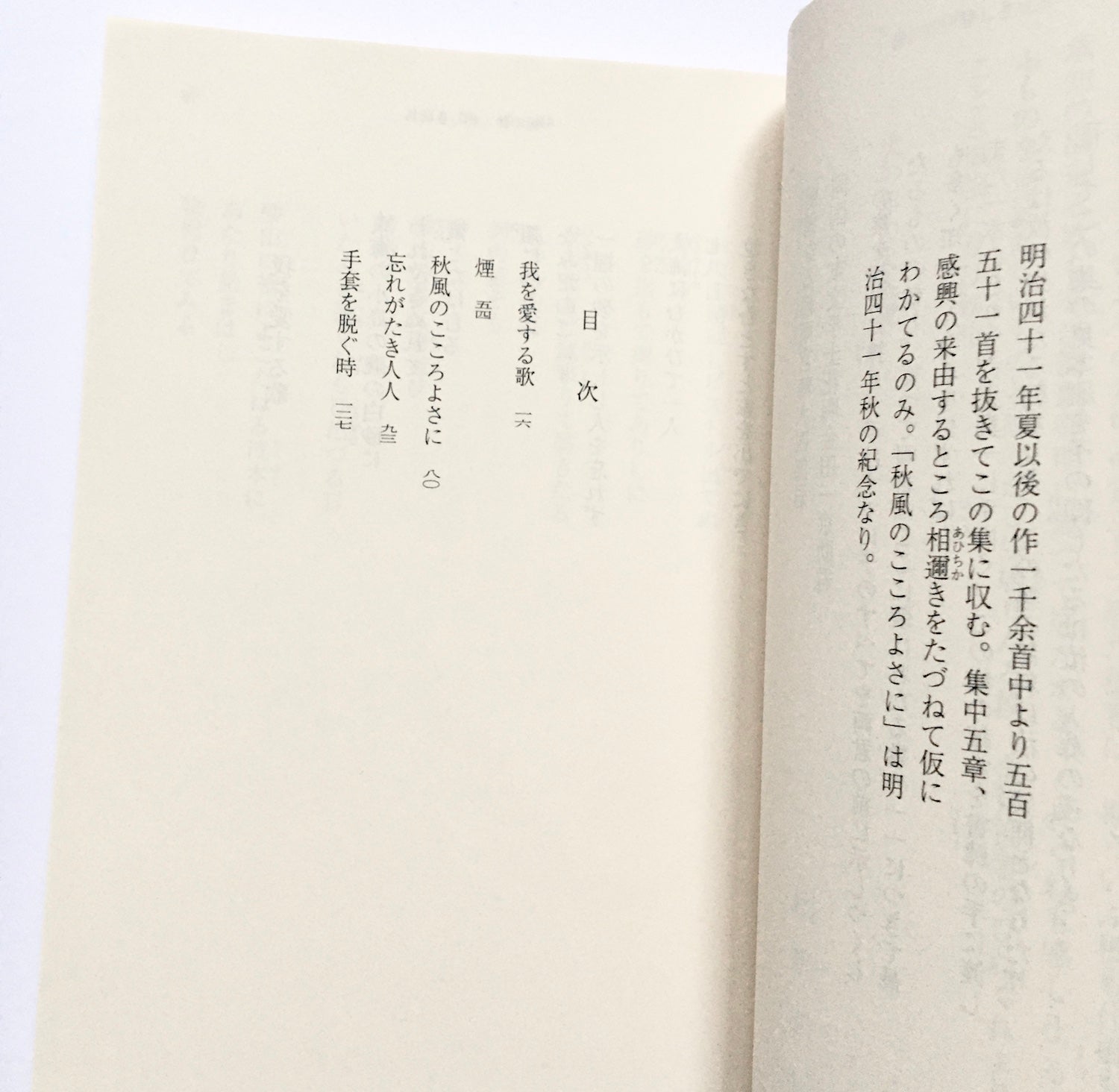一握の砂・悲しき玩具 石川啄木歌集 – Tsubaki japanese bookstore
