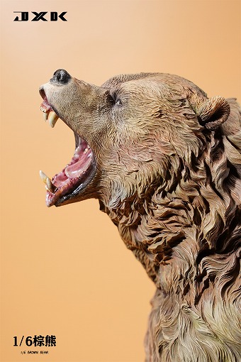 JxK Studio 1/6 熊 ヒグマ 羆 ブランベアー Brown Bear JXK133 A B