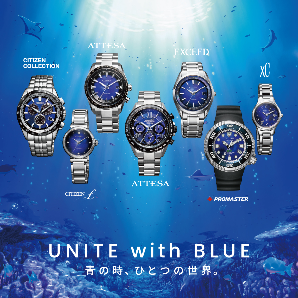 CITIZEN COLLECTION CB5874-81L 4974375529274 | CITIZEN COLLECTION