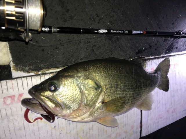 TULALA | Ford every stream | » Monstruo”G” 70MLS