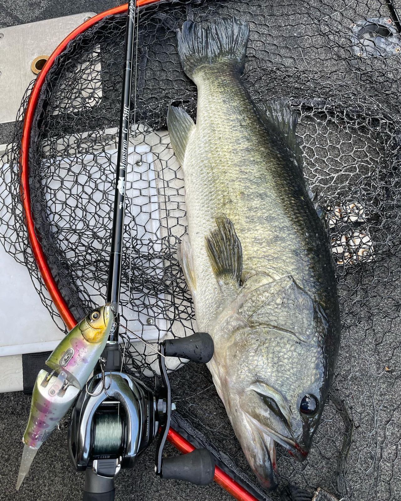 TULALA | Ford every stream | » Monstruo”G” 75HC