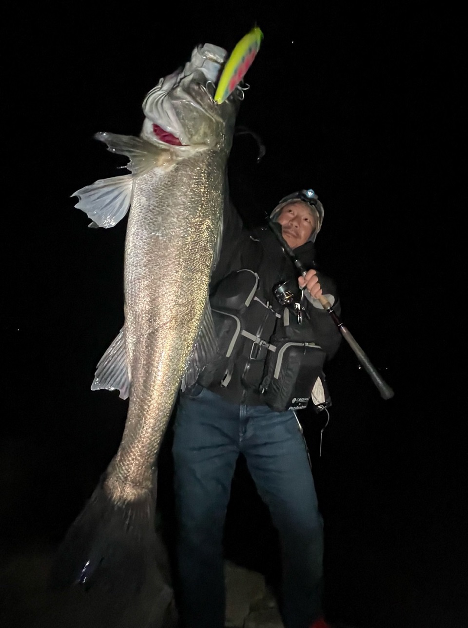 TULALA | Ford every stream | » 【公式】Ridgeline × TULALA コラボ