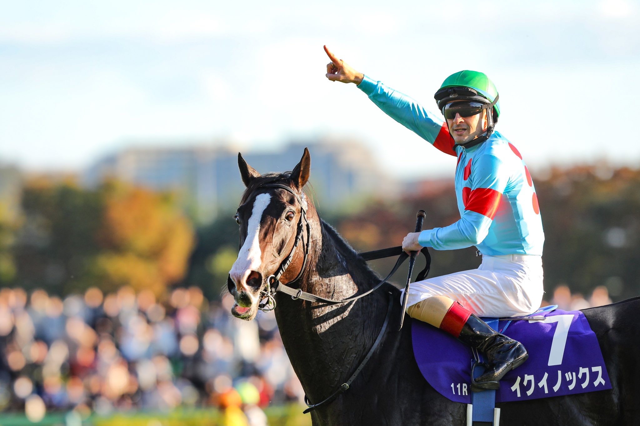 重賞回顧］府中に轟く1分55秒2の衝撃。タイムでも世界最強を証明した