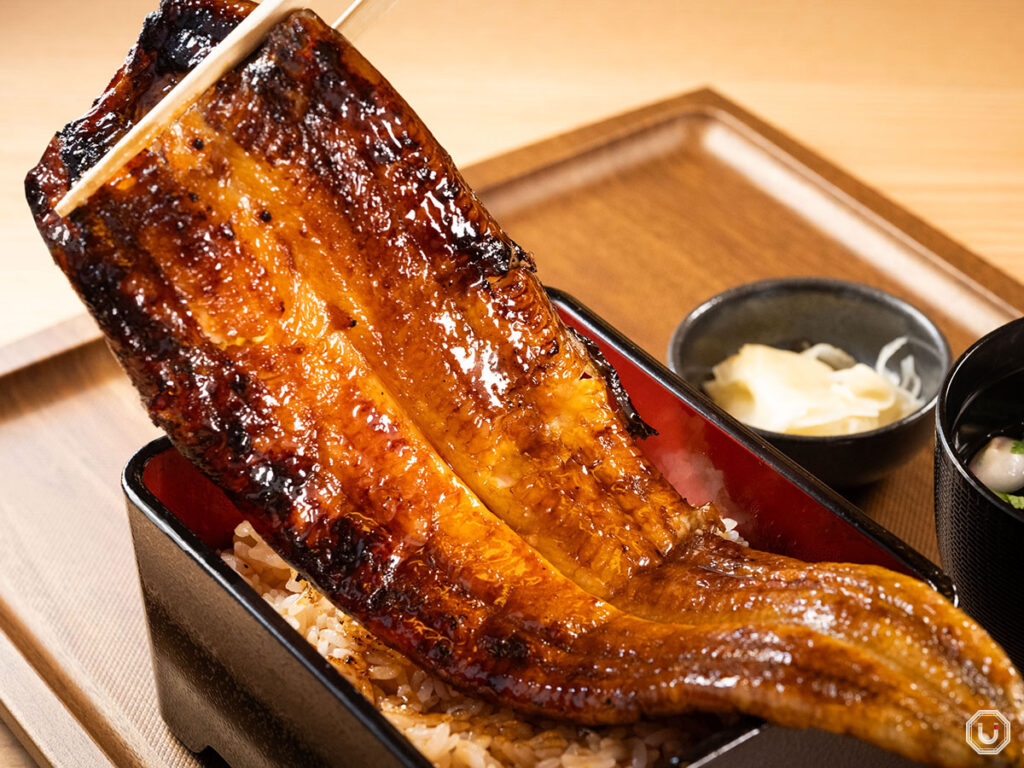 Super Affordable Unagi in Akasaka! This Tokyo Restaurant Offers