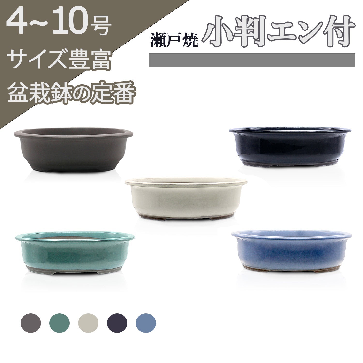 hachi – うめきち盆栽用品店