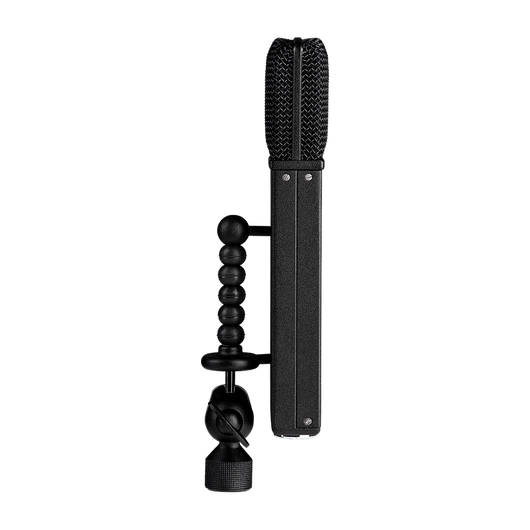 Black Hole BH2 – JZ Recording Equipment