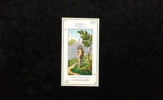 エテイヤ（エッティラ）のタロットカード「No.13：大祭司」の意味