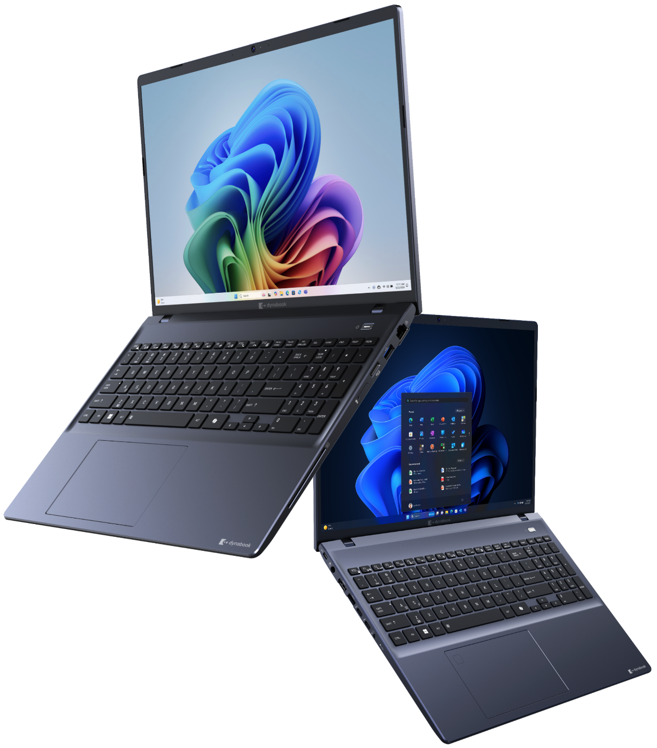 Windows 11