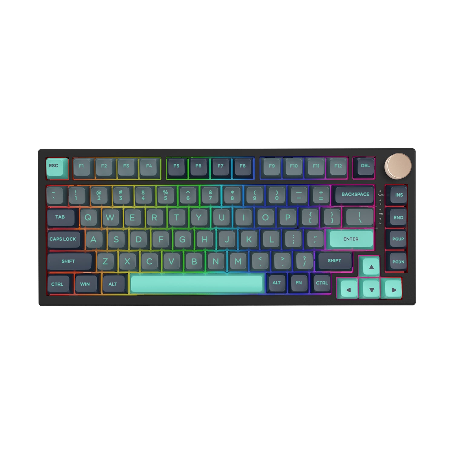 VGN x VXE N75 | Detox Tech