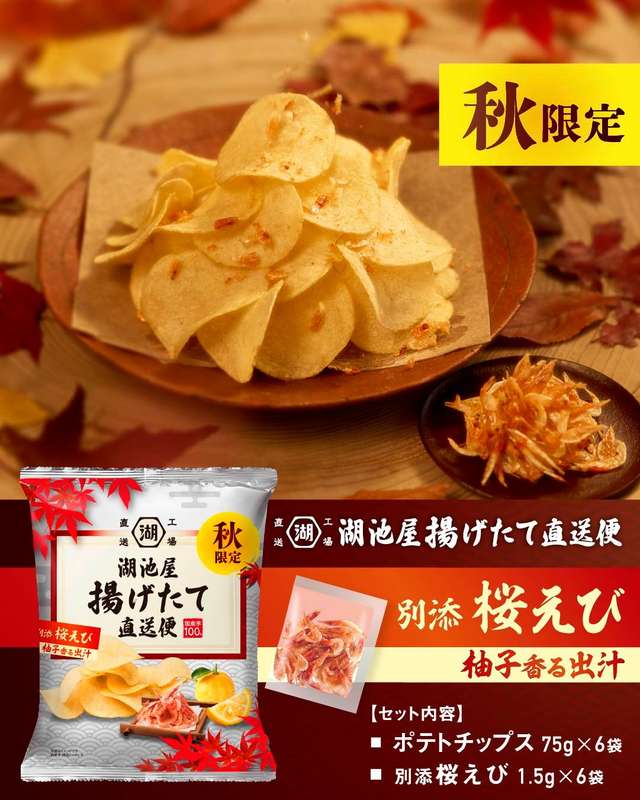ポテトチップス アイノポテチ ソウルジャズバーガー: 終売商品 | 公式