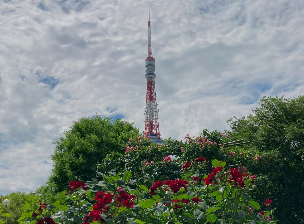 アバド＆ロンドン交響楽団: さまよえるクラヲタ人