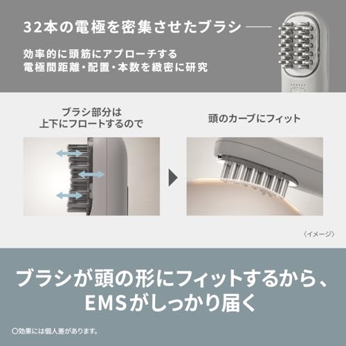 Panasonic Vitalift EMS Electric Face Brush Ion Glaze EH-SP60-H