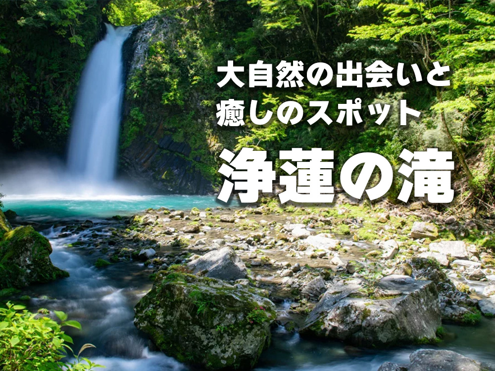 伊豆旅行で外せない立ち寄りスポット！】浄蓮の滝：大自然のパワーと癒
